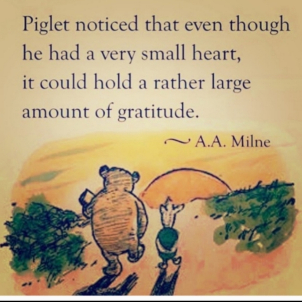 Crayon 🖍️ Chair for PLUSH 🧸 Hallmark 1999 EVC Easter 🐣 Basket 🧺 - Picture 6 of 15